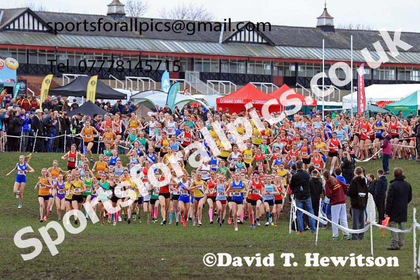 Senior Girls 2024 English Schools Cross Country Champs., Pontefract, March 16th.  Photo: David T. Hewitson/Sports for All Pics